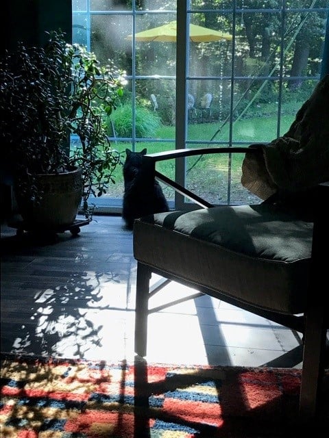 Morning has broken like the first morning.