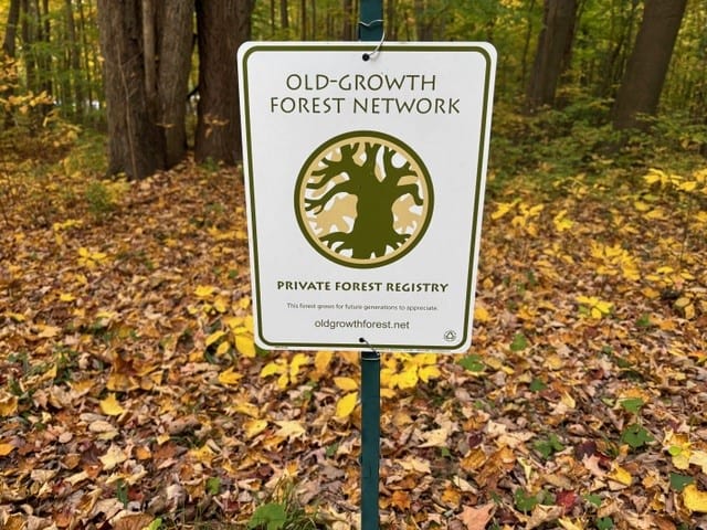 Red Spirit Retreat joins Old Growth Forest Network